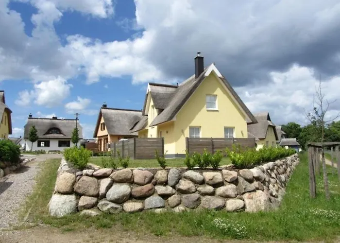 Sarcander